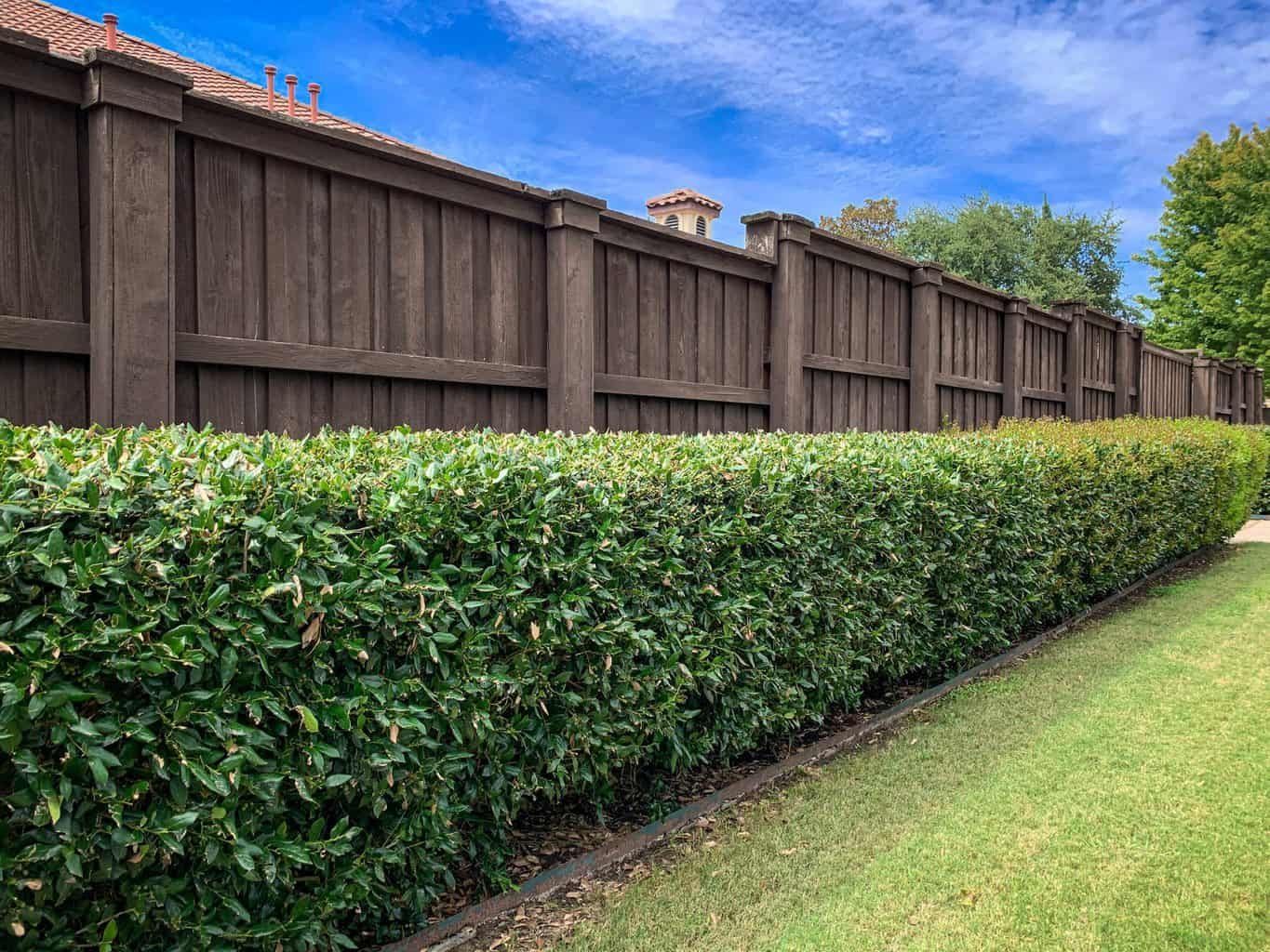 19 Metal Fence Ideas Enhancing Your Yard With Style And Security