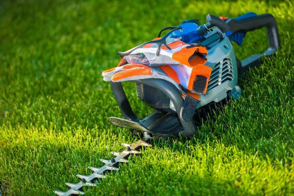 Cut grass without online lawn mower