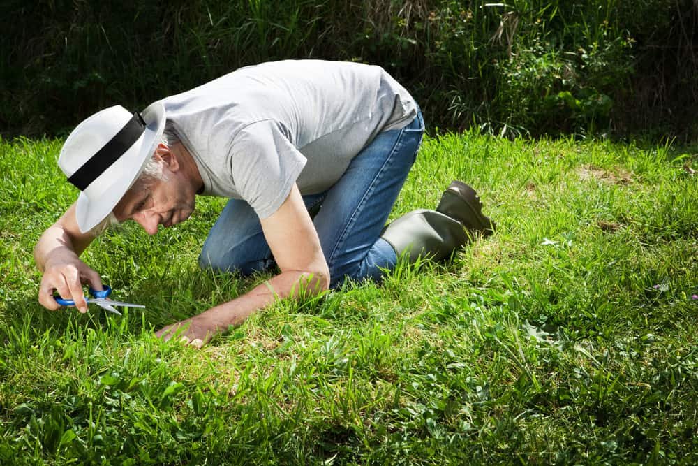 cut grass with scissors