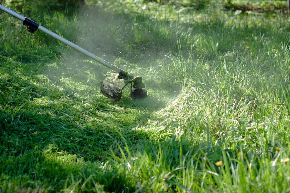 Mower cutting online grass