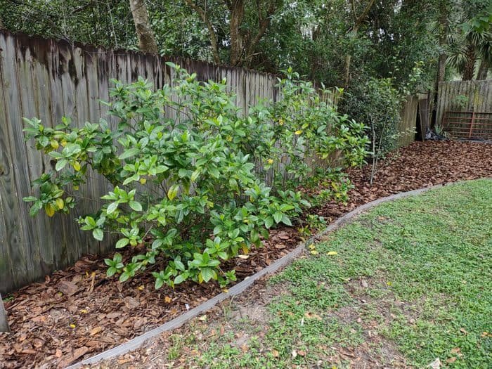 How To Install Metal Landscape Edging