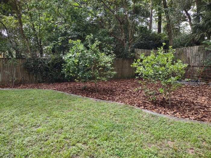 How to Mulch The Definitive Guide Backyardscape