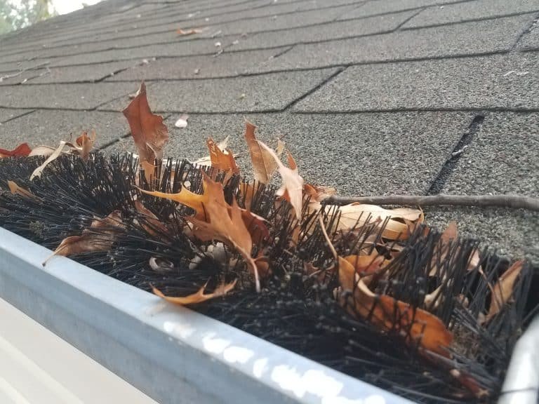 dirty leaf guard